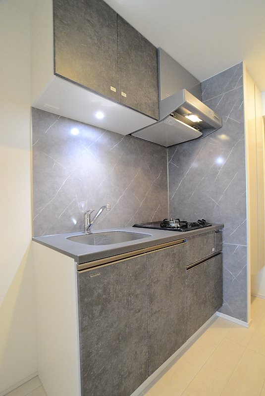 ステージグランデ大島13階 ※カラータイプ異なります