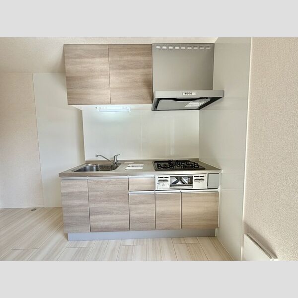 Premiere Y システムキッチン