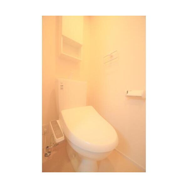 メゾン・ボヌール202号室 トイレ