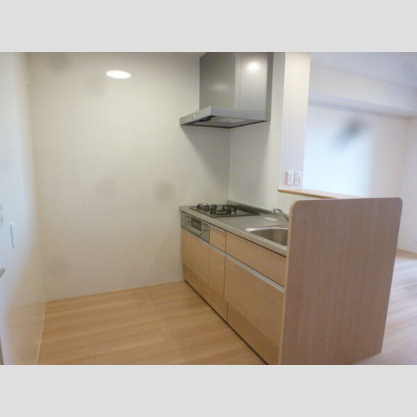 ヌヌース南鳩ヶ谷304号室 システムキッチン(対面)