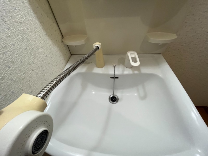 フェリス 忙しい朝に嬉しいシャンプードレッサー