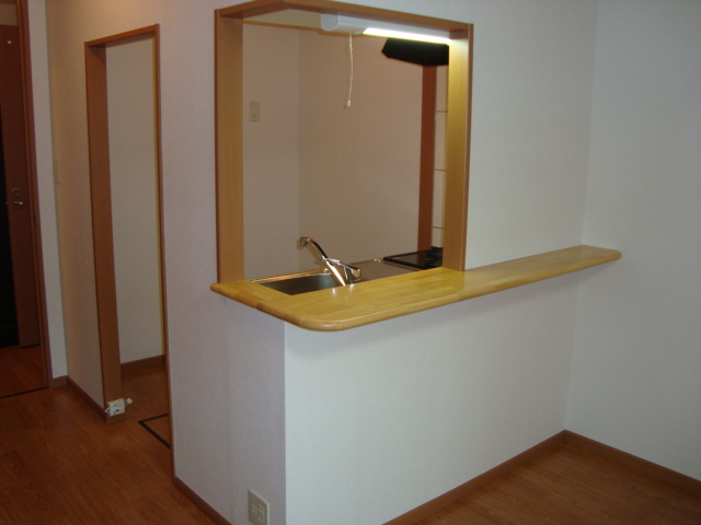 アランフェス カウンターキッチン