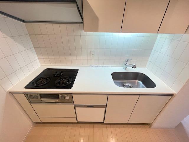 ザ・パーククロス錦糸町レジデンス2階 同建物別部屋の参考画像