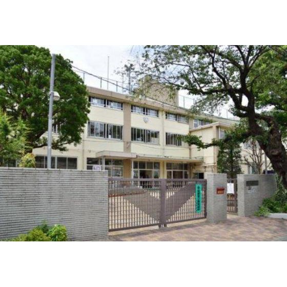 メゾンイーストワイド0202号室 周辺