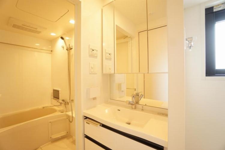 ・ALTERNA王子飛鳥山8階 洗面所