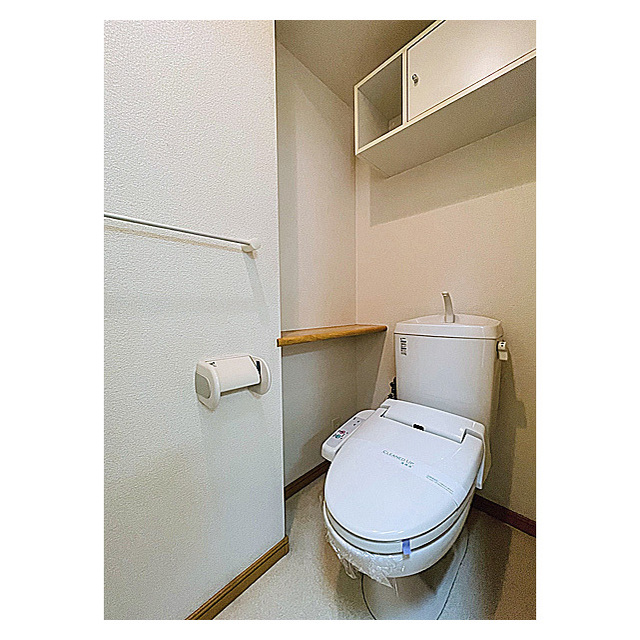 コスモリード大森町0201号室 内観