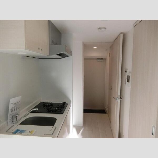 S-RESIDENCE東日暮里202号室 リビング