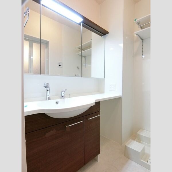 ポゥローニア湘南102号室 洗髪洗面化粧台