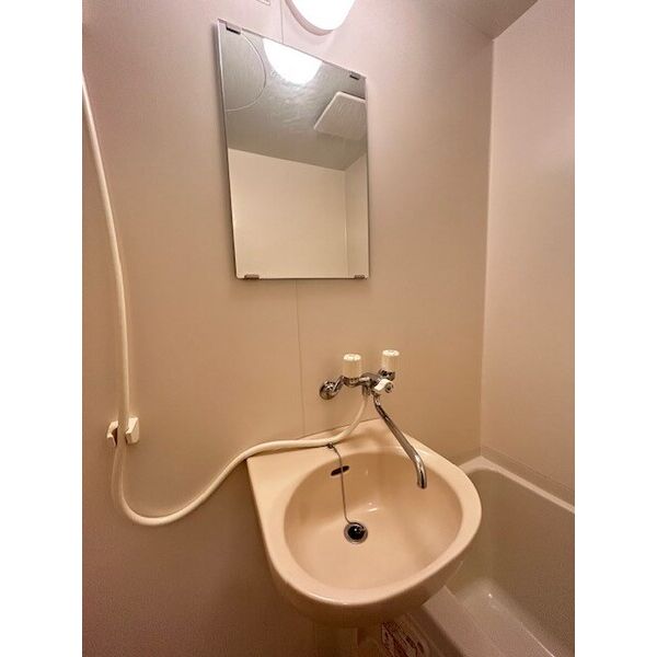 エムズ横浜0103号室 洗面