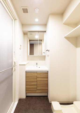 DIPS上板橋213号室 洗面