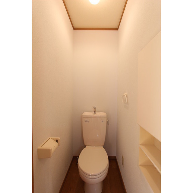 ラ・ヴィータ201号室 トイレ