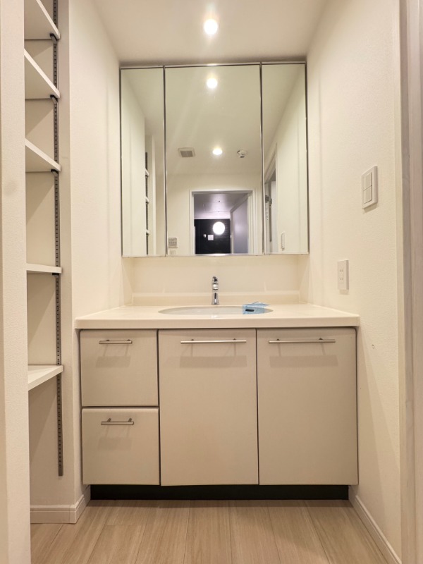 レジディア学芸大学 洗面