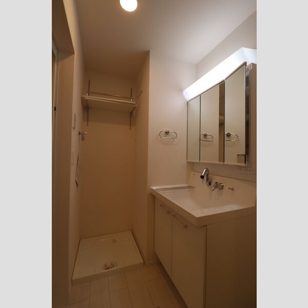 エクセリア中村北301号室 洗面