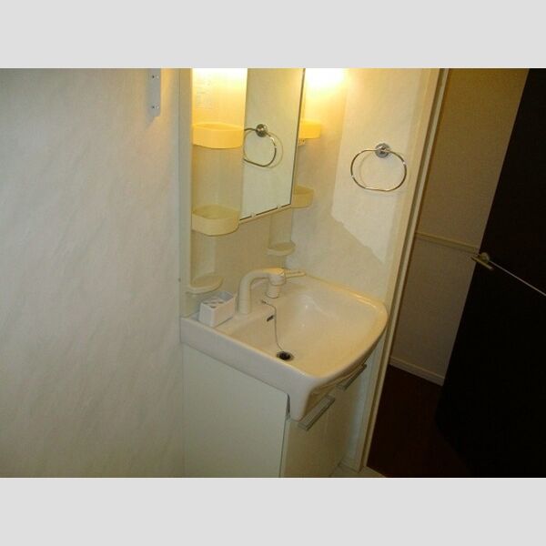 フェザント　B101号室 洗髪洗面化粧台