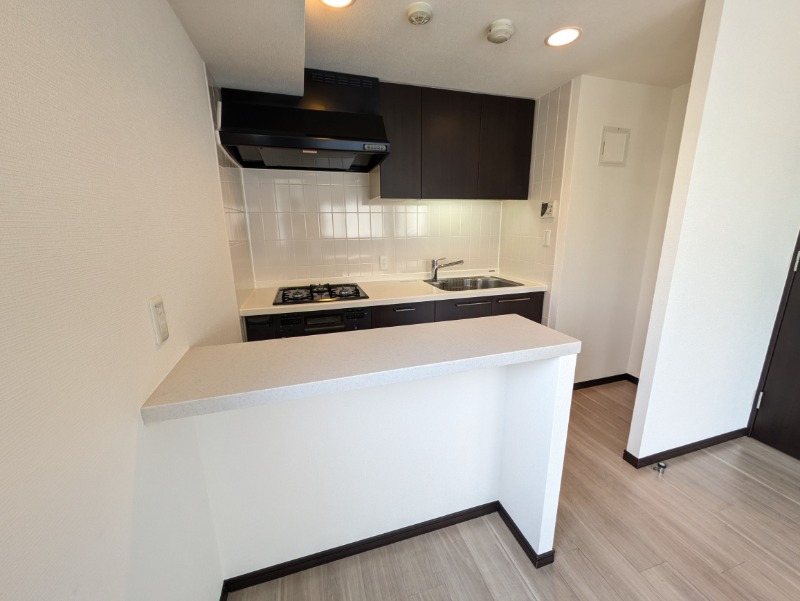 パークフラッツ市谷台町坂 キッチン