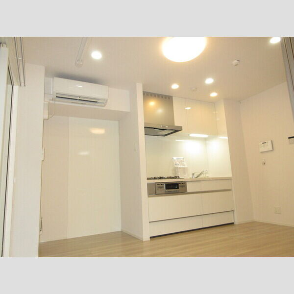 セレスティア高島平105号室 キッチン流し台