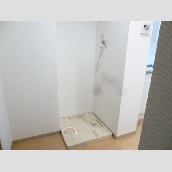 メゾン・フルール206号室 室内洗濯機置き場