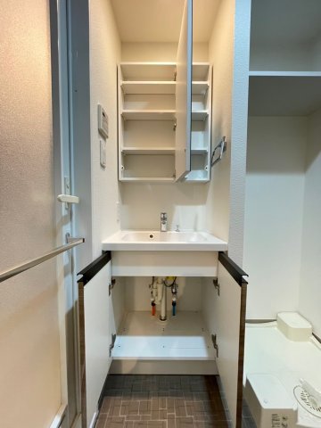 DIPS南六郷505号室 洗面