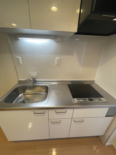 グリーンフラッツ0203号室 キッチン