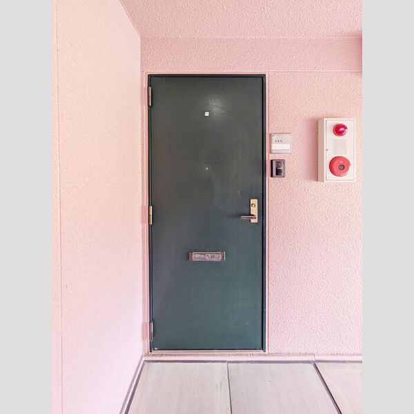 ピュアコート　(3)参番館305号室 玄関扉