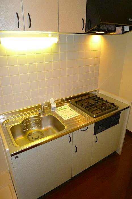 ステージグランデ新高円寺 キッチン