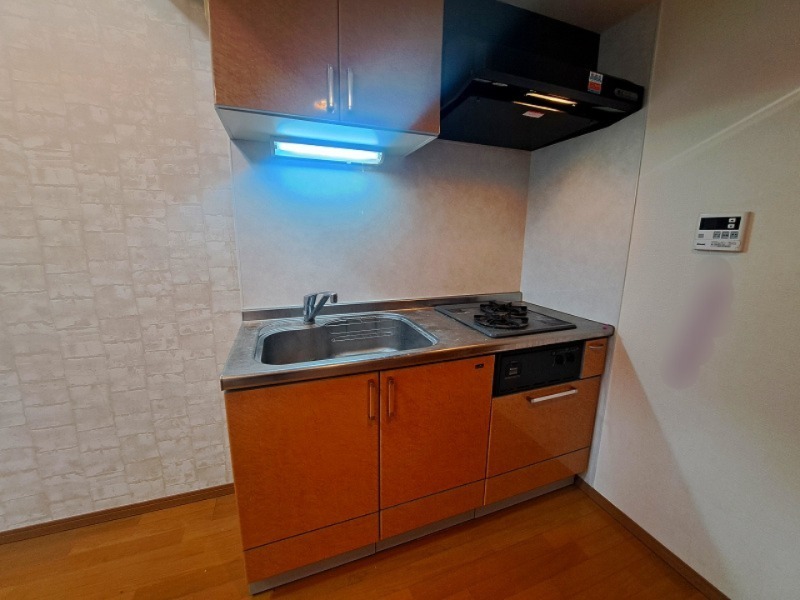 グリーゼK1階 キッチン