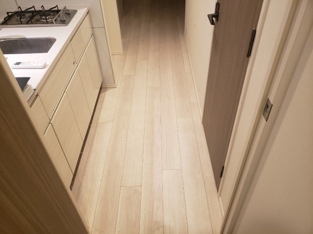 パークリュクス蒲田一丁目103号室 ※過去退去時のお写真です（原状回復前）