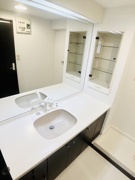 グリーンハイム平成 洗面