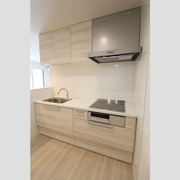 モンステラ システムキッチン