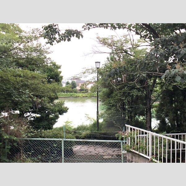 セジュールウィット大池Ⅱ 眺望