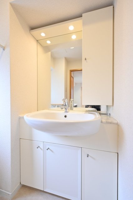 ヴィア・シテラ新宿 洗面