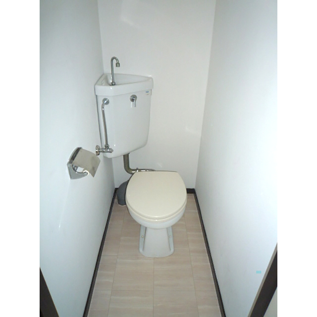 メゾンフォンテーヌA202号室 トイレ