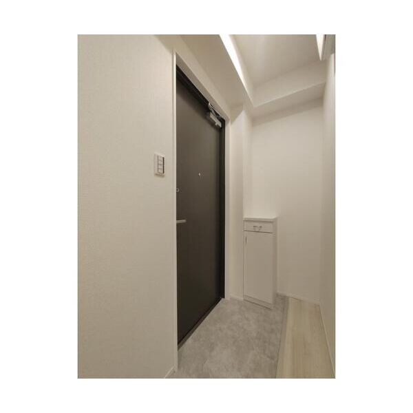 ブルーライトヨコハマ403号室 玄関