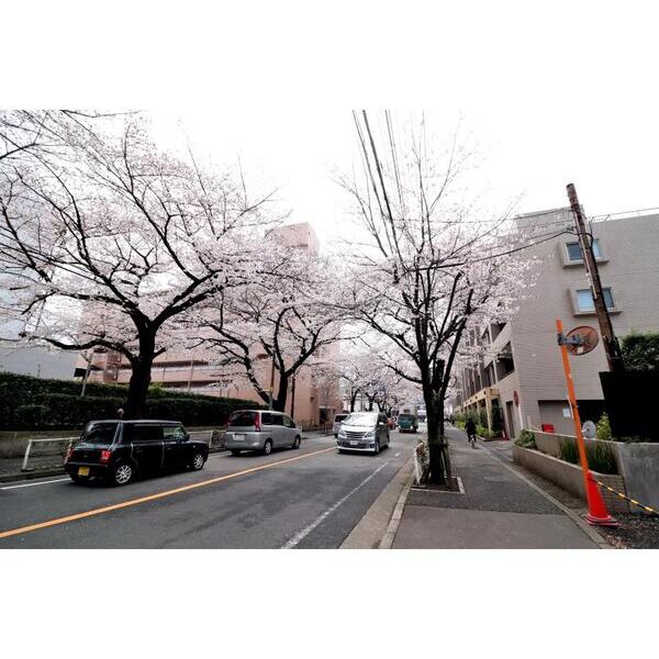 CASA　CEREJEIRA 周辺