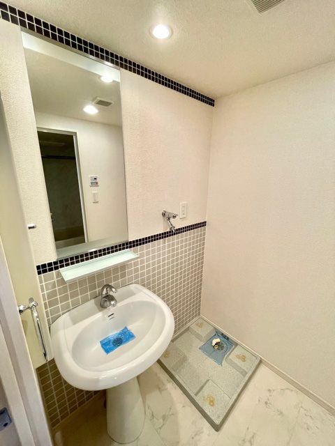 レジディア九段下3階 洗面