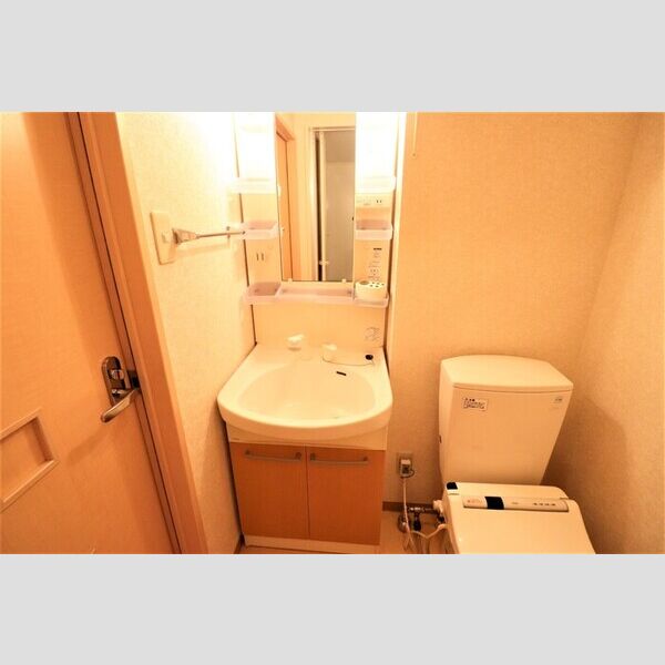 プラシード新越谷203号室 洗髪洗面化粧台