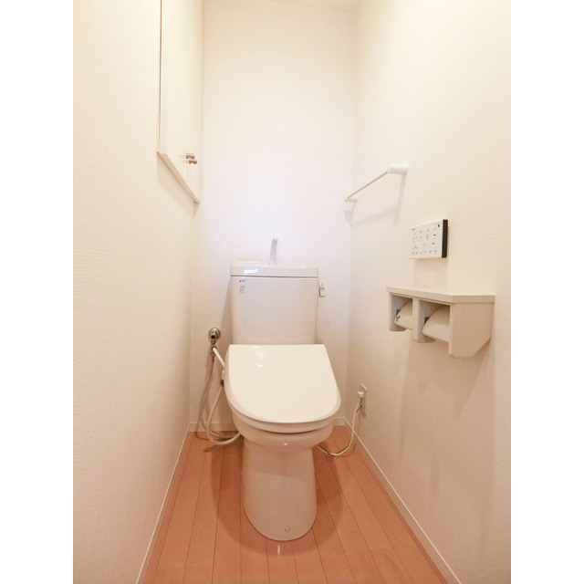 アンリシェール橋本Ａ302号室 同建物別部屋の参考画像