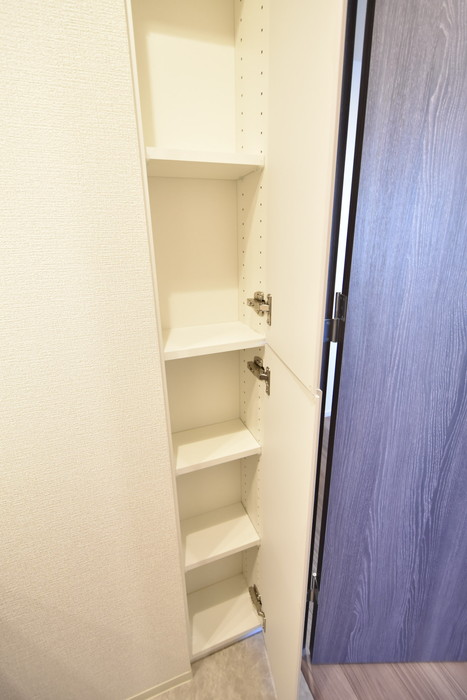 グランパセオ清澄白河Ⅱ0708号室 収納