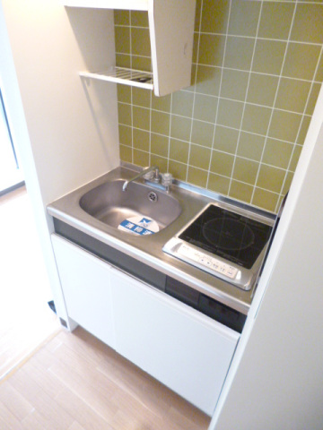 スカイコート西川口第5 同タイプ参考写真