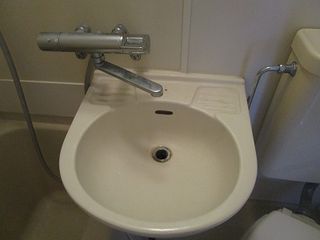 ウイング志木301号室 洗面