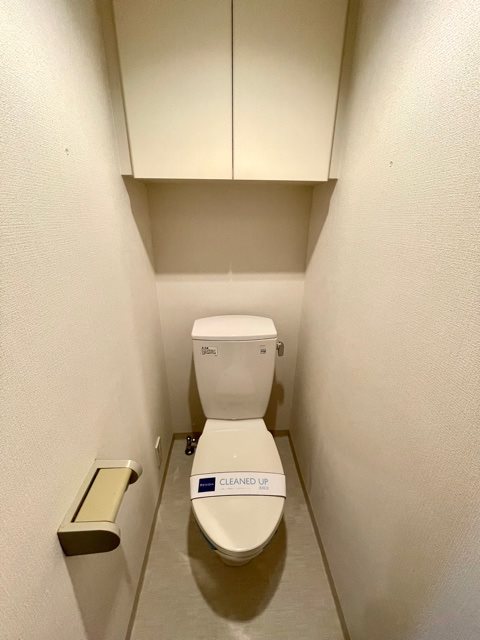 レジディア多摩川3階 トイレ