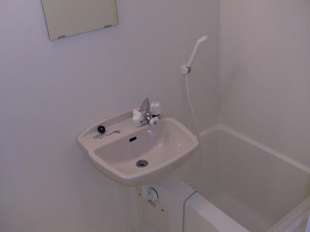 Ｌｕｍｉ　Ａｎｅｌａ バス