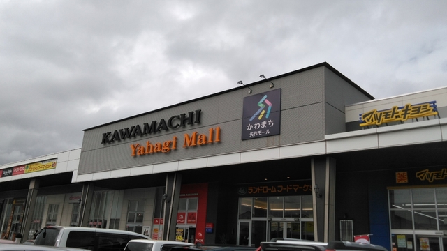 ルミエール若葉0101号室 【ショッピングセンター】かわまち矢作モールまで986ｍ