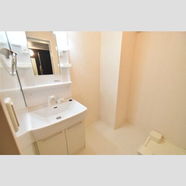 ハイネスCDFE　F201号室 洗面室