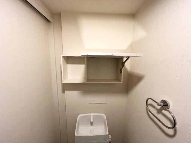 ラーバンコート大宮土屋201号室 トイレの上部収納