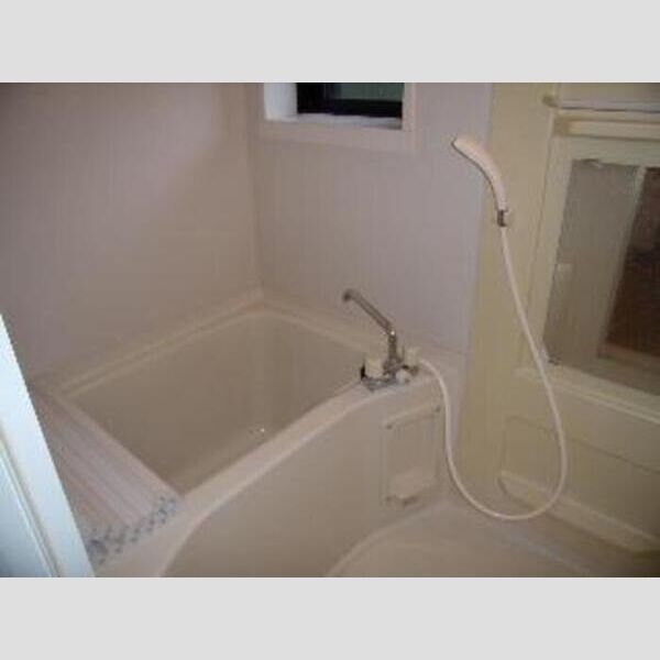 ハイツ・サンピーチ　C303号室 ハイツ・サンピーチC浴室