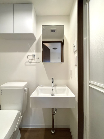 スカイラシクラス平和台101号室 洗面