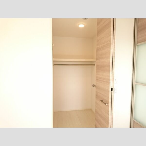 ロイジェントパークス レイクタウン Ⅱ　J301号室 収納