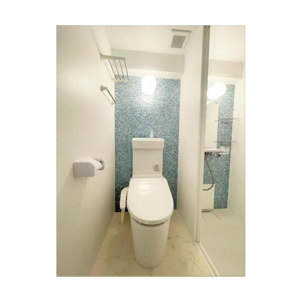 スミノ藤沢501号室 トイレ