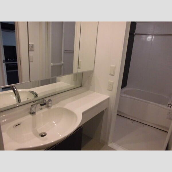 Plumeria 410　洗髪洗面化粧台